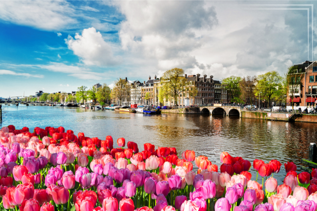 Amesterdam view with Tulips